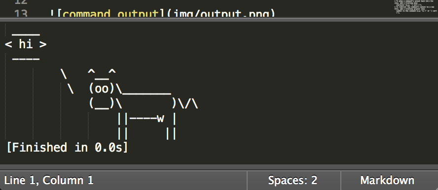 command output