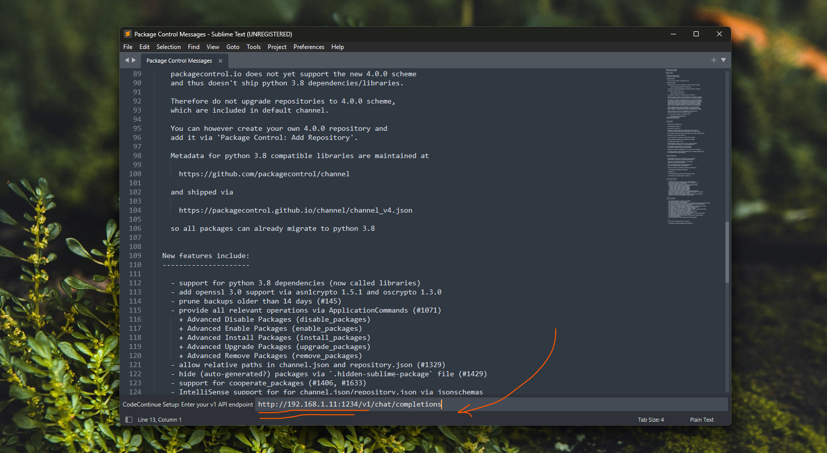 codeContinue setup wizard