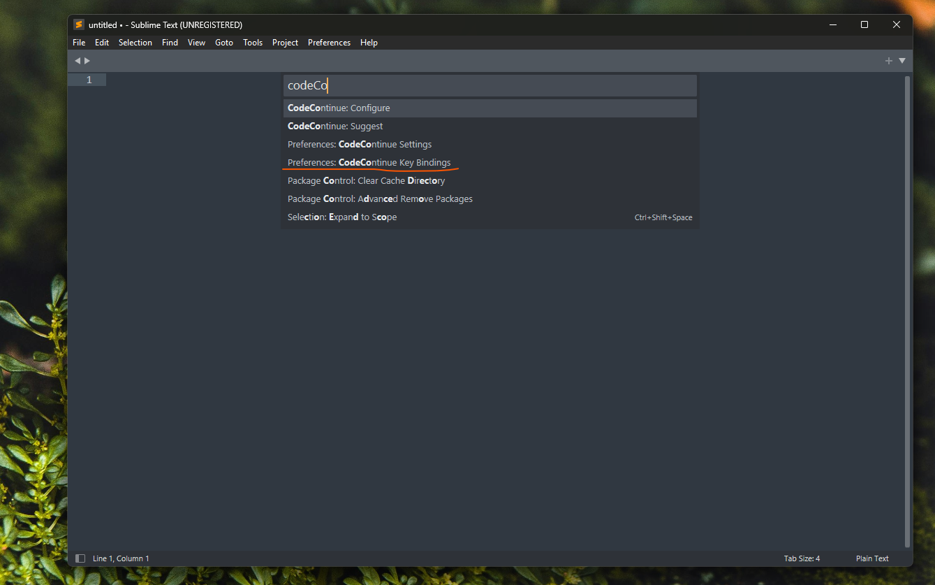 codeContinue key binding