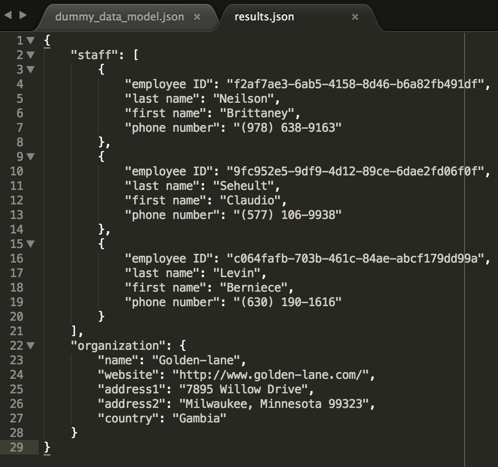 screenshot of Sublime Text editor with open dummy data results file