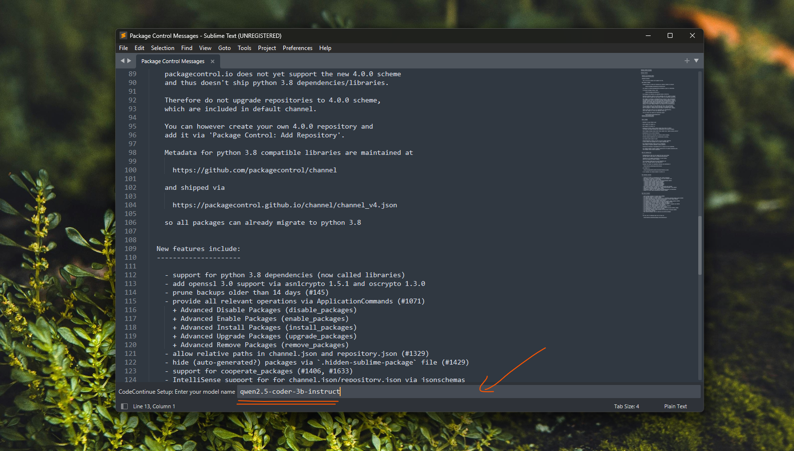 codeContinue setup wizard